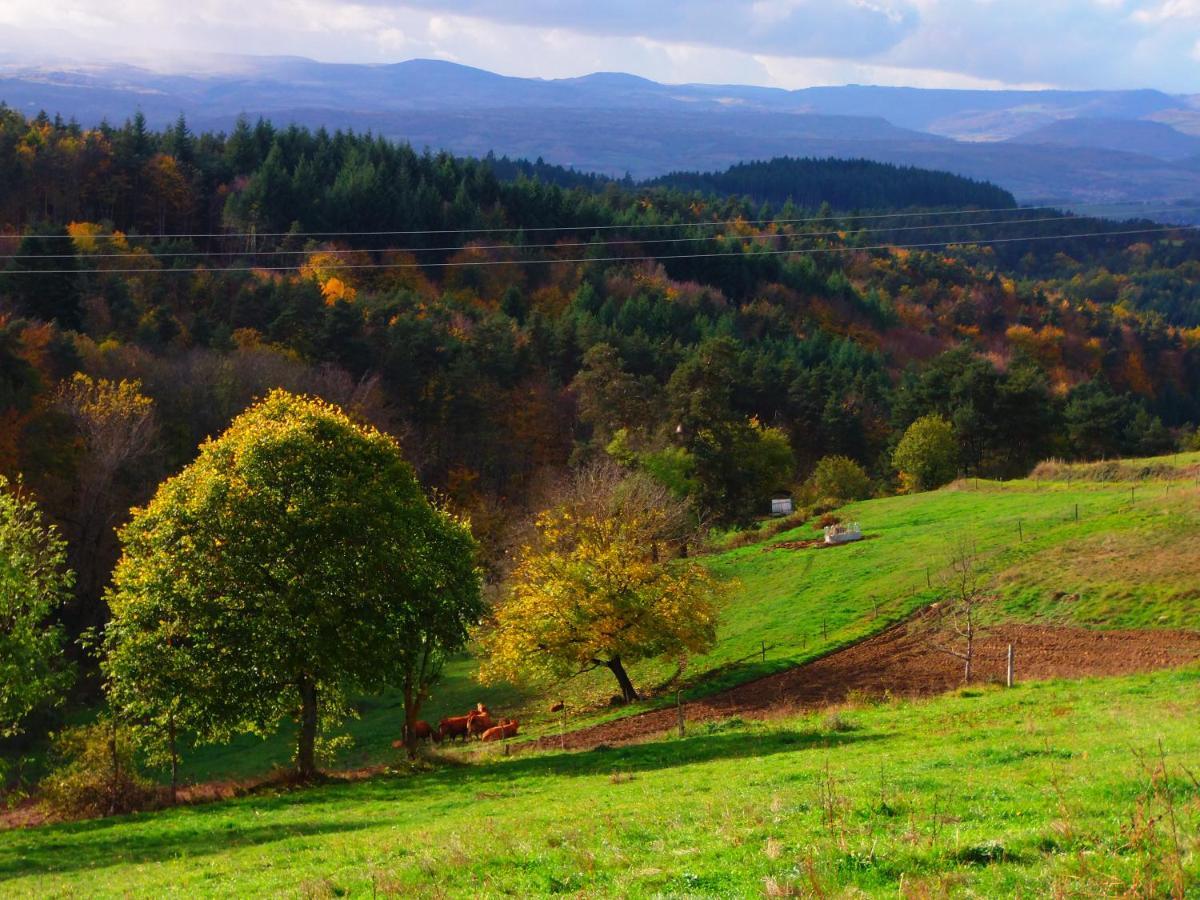 Saint-Hilaire  Le Vallon D'Armandine, Gite Ecologique Auvergne المظهر الخارجي الصورة