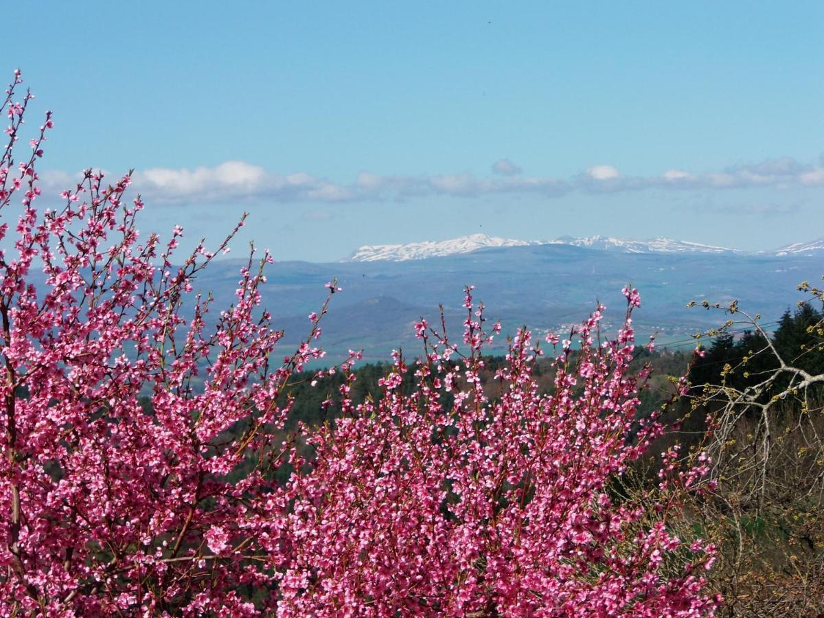 Saint-Hilaire  Le Vallon D'Armandine, Gite Ecologique Auvergne المظهر الخارجي الصورة