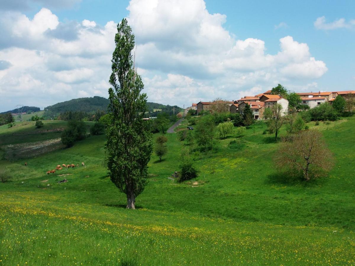 Saint-Hilaire  Le Vallon D'Armandine, Gite Ecologique Auvergne المظهر الخارجي الصورة